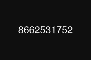 8662531752