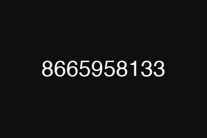 8665958133