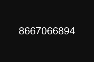 8667066894