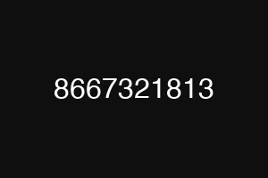 8667321813