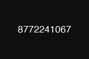 8772241067