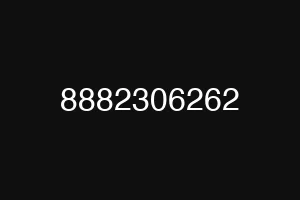 8882306262