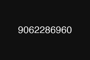 9062286960
