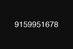 9159951678