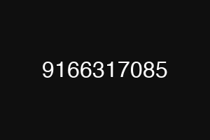 9166317085
