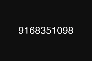 9168351098